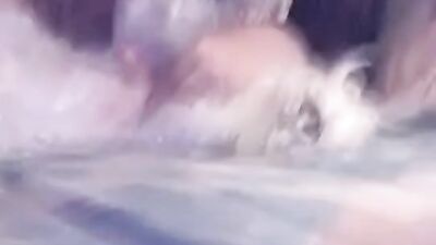 Bestiality porn: zoo porn full videos