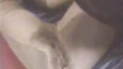 Girl having dog: animal porn 34
