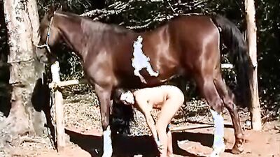Porn bestiality: retro xxx bestiality