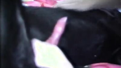 3d bestiality: bestiality xxx hmv