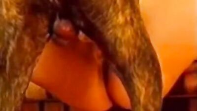 Dog girl 1: animals licking girl pussy porn
