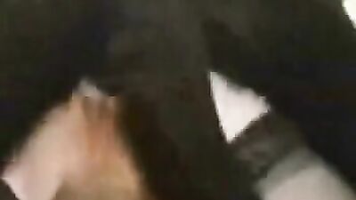 Women's dog sex: dog pmv sex