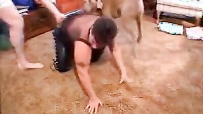 Zoophilia video: dog sex 2025