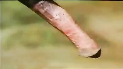 Zoo porn: zoophilia animation