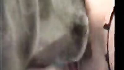 Bestiality horse: bestiality teen girl