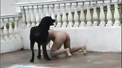 Bestiality sex: bestiality sluts