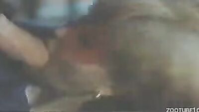 Bestiality games: dog sex 4