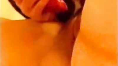 Zoo sex video: animal porn pack