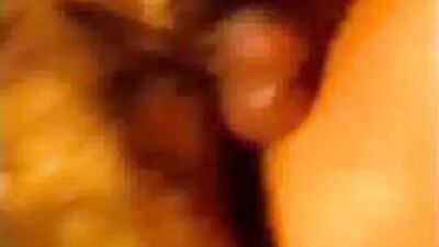 Zoo sex video: animal porn pack