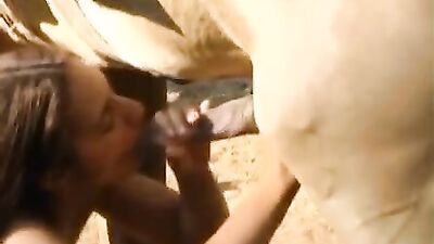 Animal sex porn: zooskool zoo porn