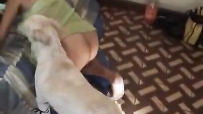 Teen zoo porn: luna zoo porn
