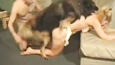 2 dog girl: bestiality pig porn