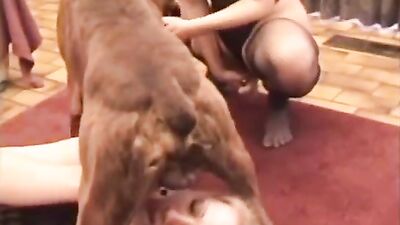 Girls s dogs: kiss me again dog girl