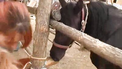 Zoo sex porn: tube 1 porno animal