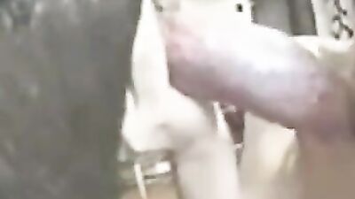 Zoophilia: teen girl sucked dog dick
