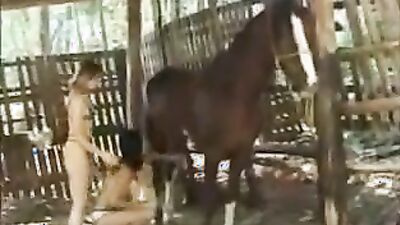 Dog sex porn: bestiality porn rule34