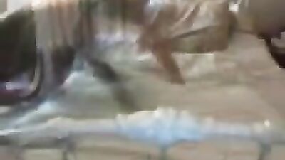 Bestiality porn: girls orgasm dog