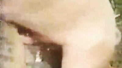 Dog sex: periscope dog porn
