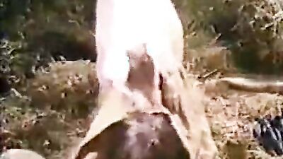 Dog sex: periscope dog porn