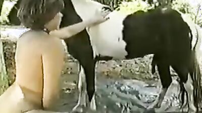 Dog porn: hidden zoo sex