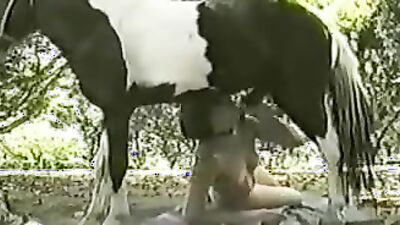 Dog porn: hidden zoo sex