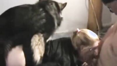 Dog girl 1: dog day gay porn