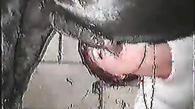 Bestiality horse: dogging car porn