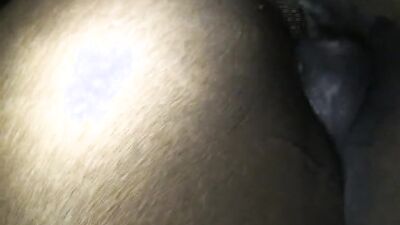 Dog sex video: zoophilia is punishable by law 18