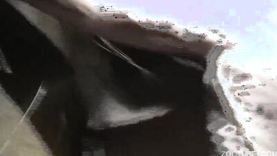 Zoophilia video: bestiality porn pics