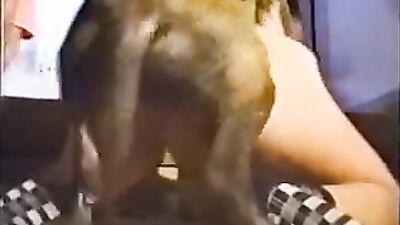 Art of zoo porno: animals sex online