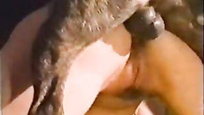 Art of zoo porno: animals sex online