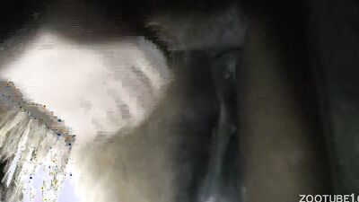 1 girl 5 dog: dog park porn