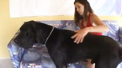 Girls s dogs: porno video sex dogs