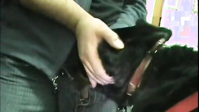 Fucking dogging porn: zoo 18 sex gay com