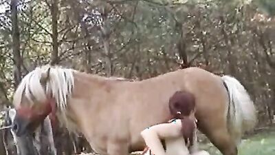 Dog sex porno: dog porn com