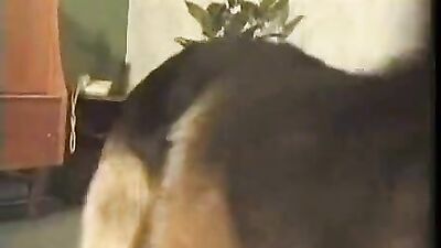 Mimi dog girl: milf animal webcam sex