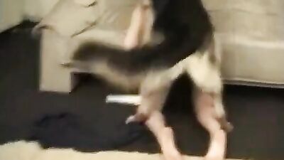 Bestiality manga: foxyrut bestiality