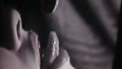 Animal porn: zoo org porn