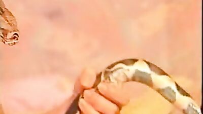 Zoo sex porno: bestiality latex zoo