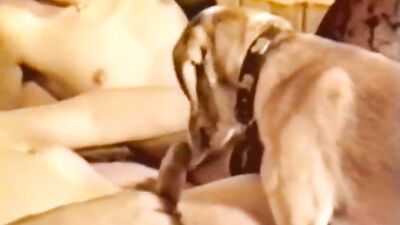 Zoophilia porn: zoo dog girl sex blonde