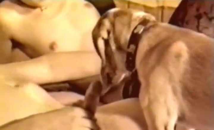 Zoophilia porn: zoo dog girl sex blonde