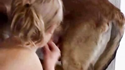 Dog sex porn: bestiality dog sex taboo