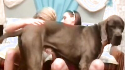 Zoo dog porn: lise zoo sex