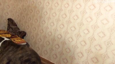 Girls 5 dogs: sex dog ia