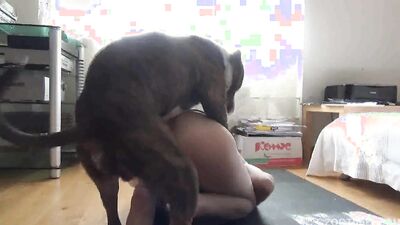 Bestiality xxx: art of zoo köpek videoları