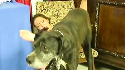 Animal sex video: art of zoo teacher xxx