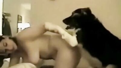 Animal zoo sex: man on dog aggressive fuck porn