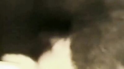 Animal zoo sex: man on dog aggressive fuck porn