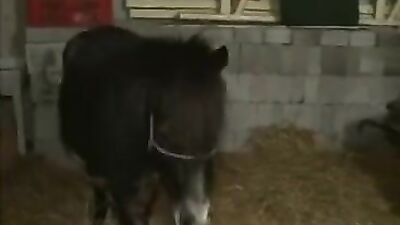 Zoo porn 2026: secret sex with an animal intimate