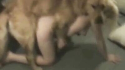 Zoo sex video: free zoo porn horse